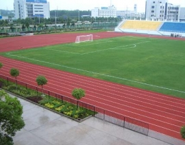 淄博市鲁泰体育场